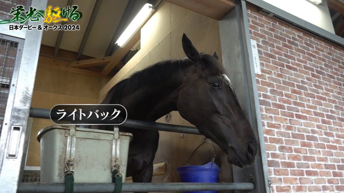 桜花賞 最速の末脚で3着に入ったライトバックがオークスの舞台へ｜栄光へ駆ける 日本ダービー＆オークス2024