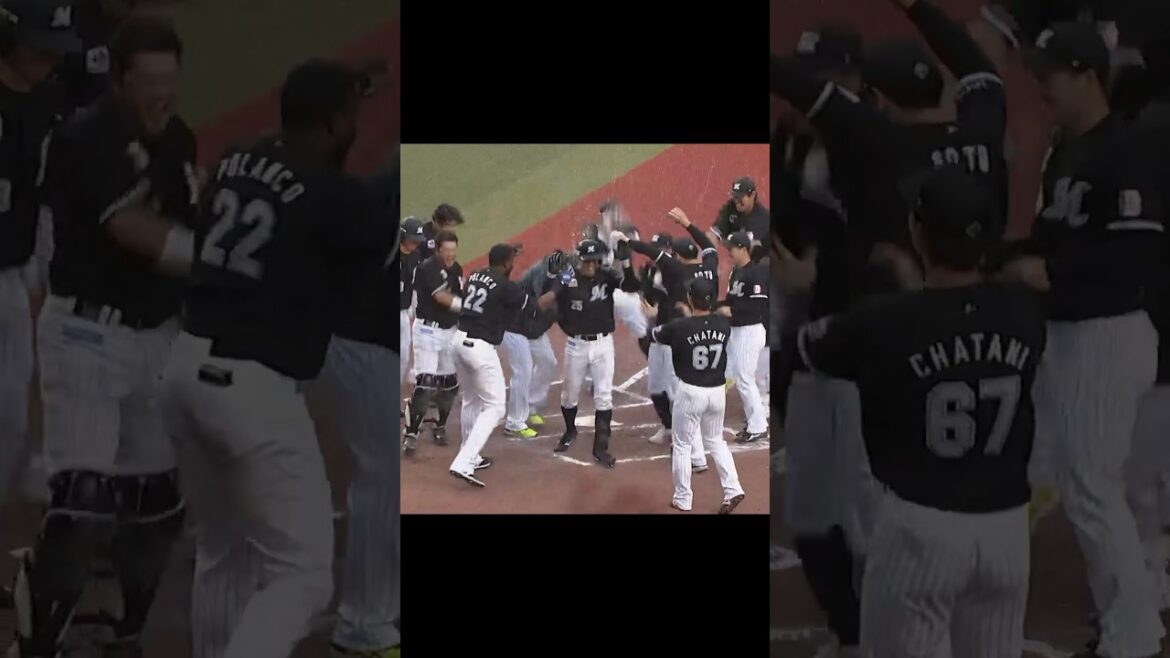 ヒロミサンセット！#chibalotte #岡大海