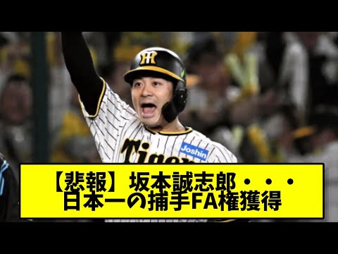【悲報】坂本誠志郎、FA獲得 【悲報】坂本誠志郎、FA獲得