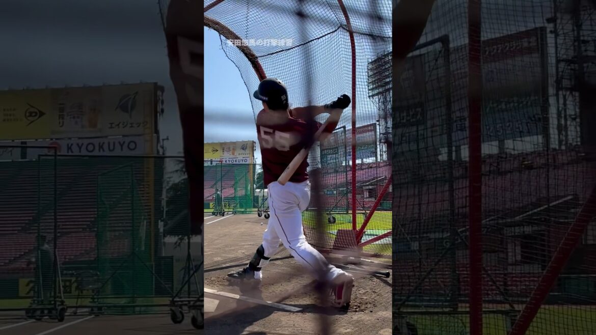 【垂れ流しショート】安田悠馬の打撃練習