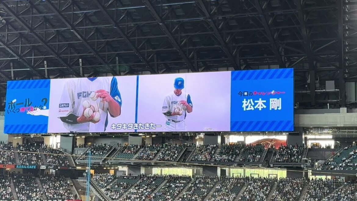 松本剛　ボール何個持てるかな？　#エスコンフィールド #北海道日本ハムファイターズ　#松本剛　2024.05.14