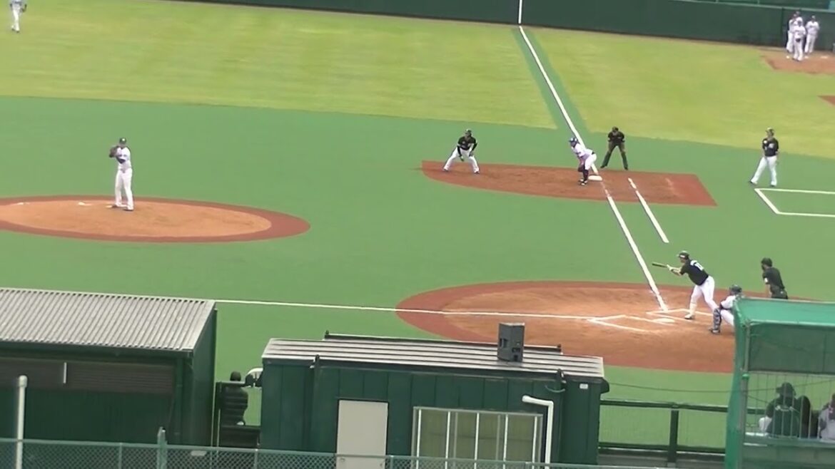 松石信八がヒットで平沢大河が送りバントを決める2024年5月12日  ヤクルトスワローズ対ロッテマリーンズ