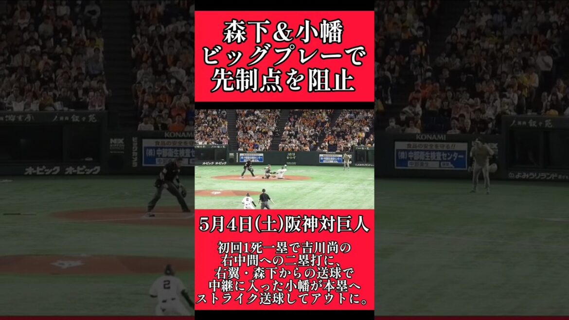 【阪神】"森下翔太"と"小幡竜平"の連携プレーで先制点を阻止！ #阪神 #阪神タイガース #森下翔太 #小幡竜平  #shorts