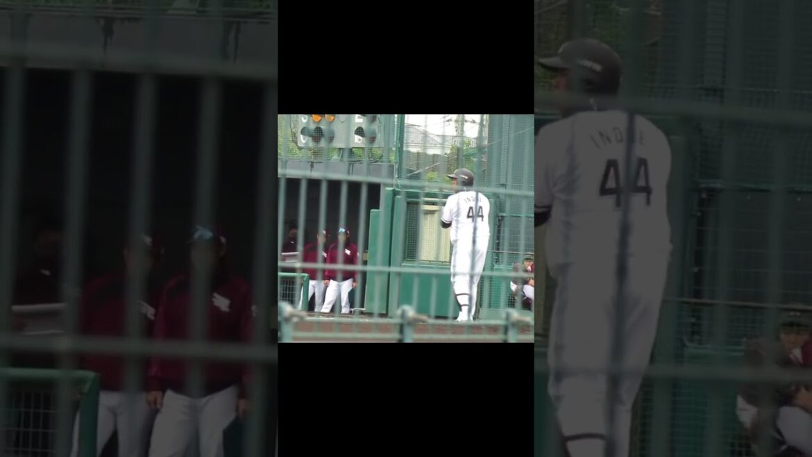 ロッテ 井上晴哉2024バッティングフォーム（春季教育リーグ 千葉ロッテマリーンズ対 楽天ゴールデンイーグルス） ＃2024年3月5日