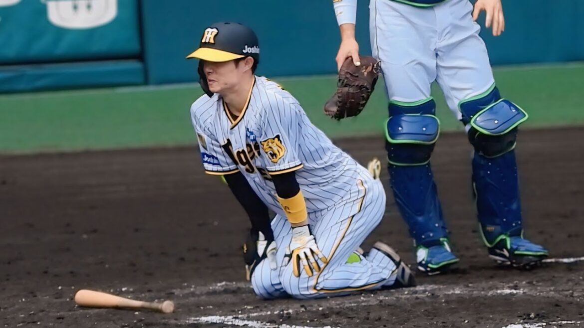 【苦悶の表情】背中に死球を喰らうも痛みを堪えてトレーナーに無事を報告する中野拓夢 2024.4.27