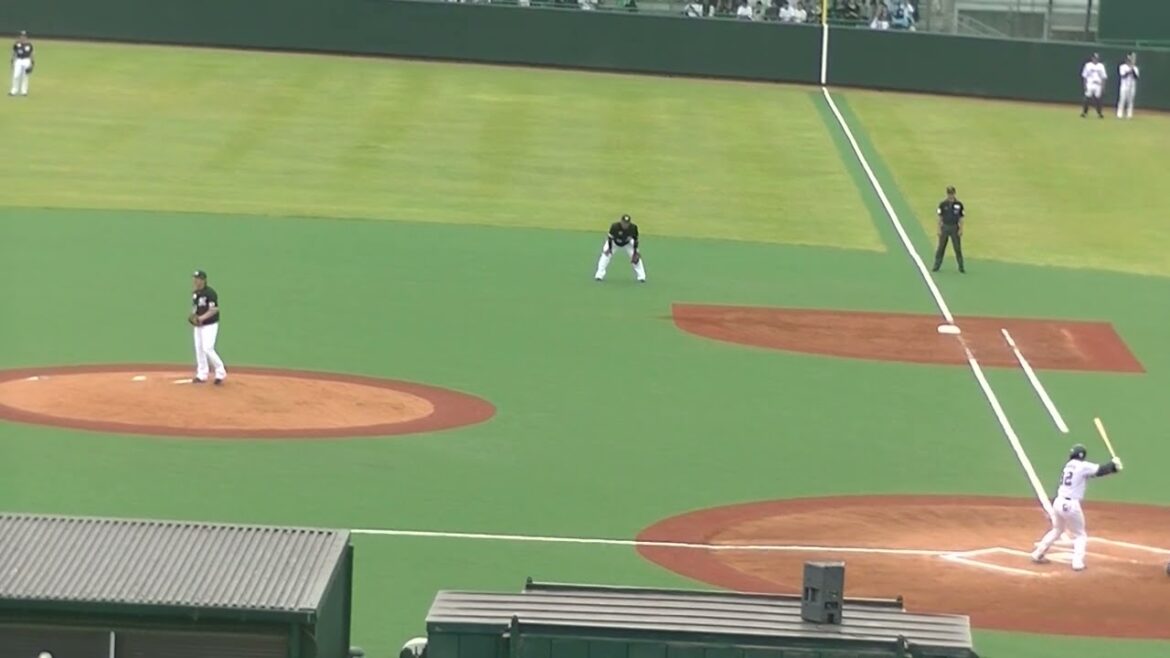 松本直樹をショートゴロに打ち取る小野郁2024年5月12日  ヤクルトスワローズ対ロッテマリーンズ