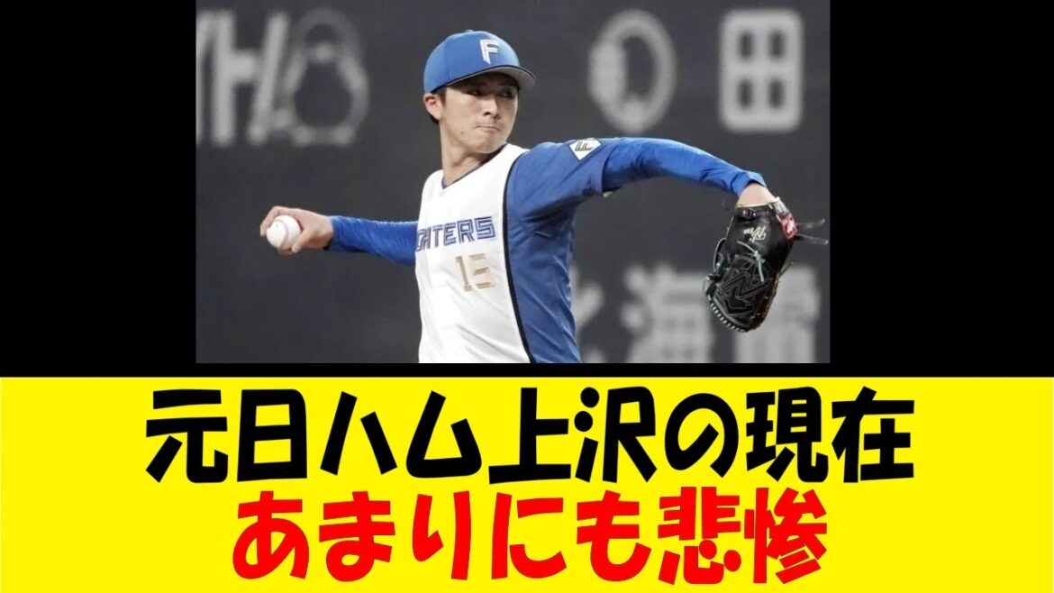 元日ハム上沢の現在、あまりにも悲惨【反応集】【野球反応集】【なんJ なんG野球反応】【2ch 5ch】