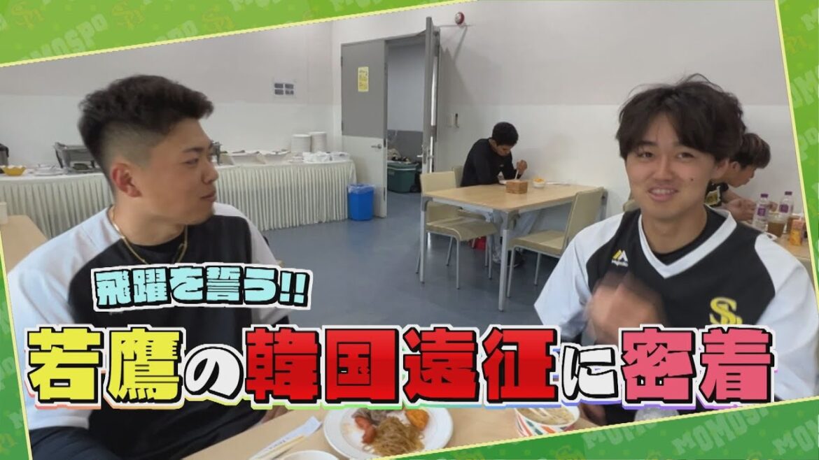 密着！３軍韓国遠征！地元出身の井﨑 燦志郎 #sbhawks #とべとべホークス