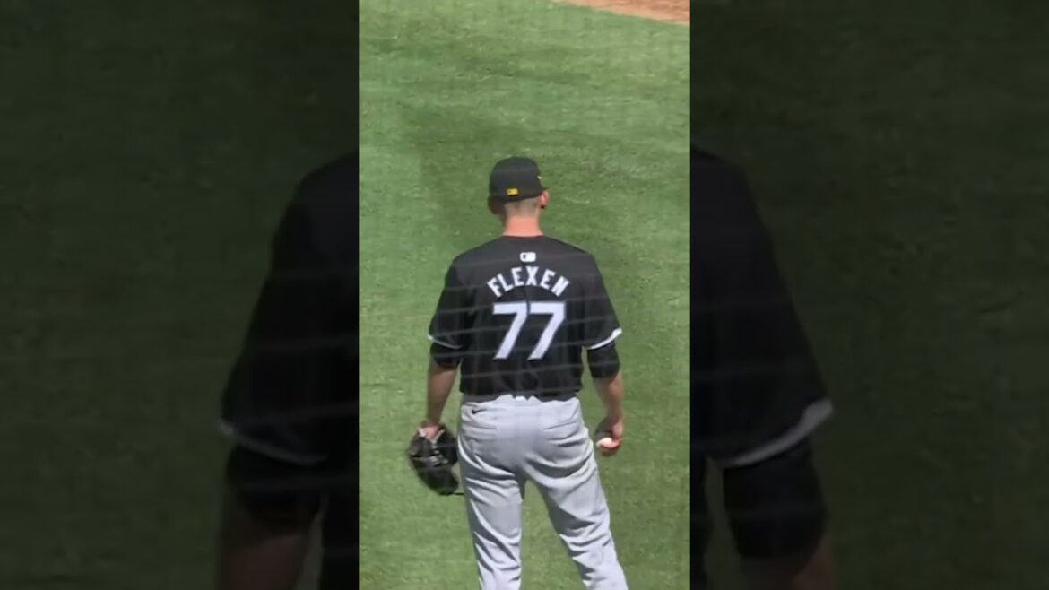 bird had the best seat in the house and did not want to give it up 🤣