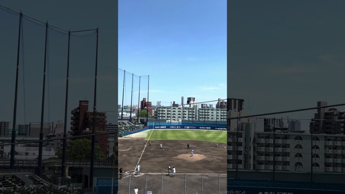 【阪神タイガース】佐藤輝明2024年5月17日 ウエスタンリーグ 中日vs阪神 1回表 第一打席は死球でした。#shorts