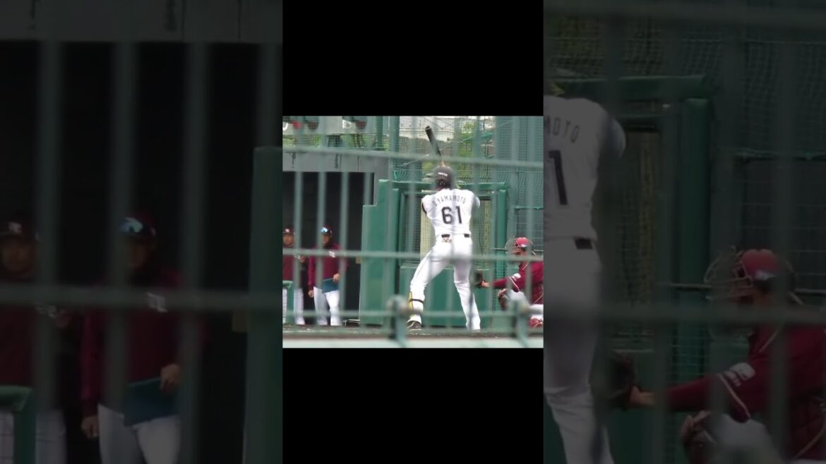 ロッテ 山本大斗2024バッティングフォーム（春季教育リーグ 千葉ロッテマリーンズ対 楽天ゴールデンイーグルス） ＃2024年3月5日