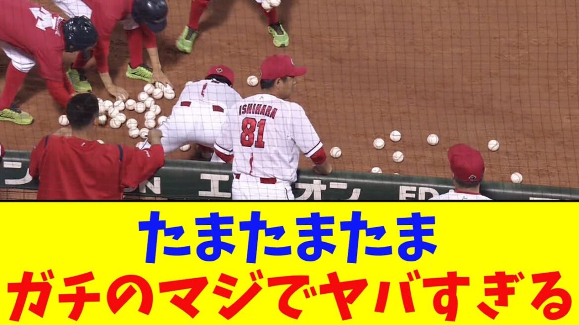 広島・マツダスタジアムのボールボーイ、ボールを大量にこぼしてしまう【なんJ反応集】