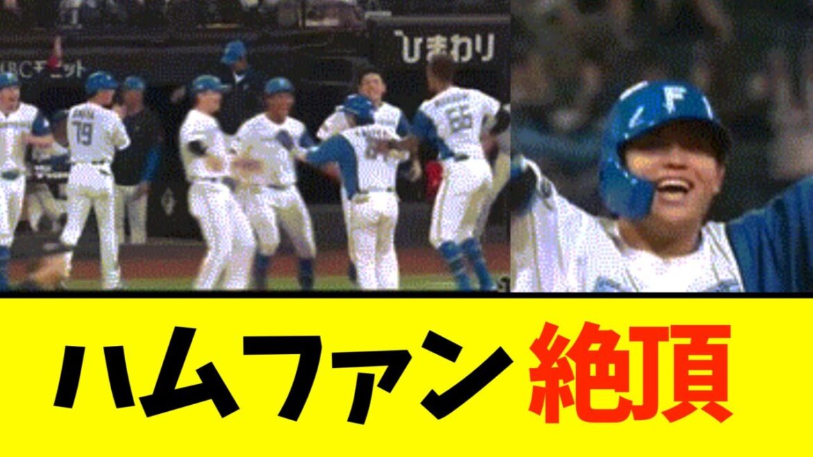 日本ハム、延長１０回に田宮がサヨナラ犠牲フライ