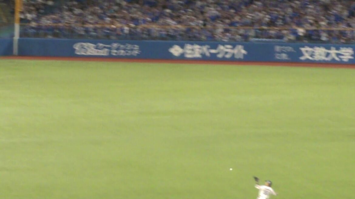 ヤクルト 濱田太貴 ナイスプレー　ヤクルト vs DeNA　2024年5月22日(水)