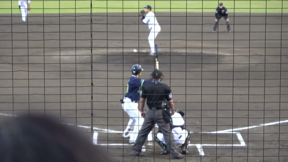 東京ヤクルトスワローズ 赤羽由紘選手 第1打席 サードゴロ VS くふうハヤテベンチャーズ 早川太貴投手 2024/5/14 草薙球場