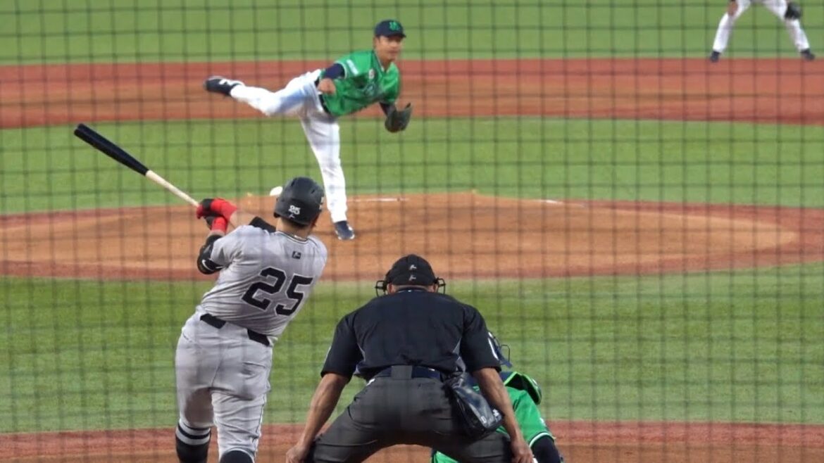 岡本和真の第6号ソロホームラン！打った瞬間ホームランと分かる強烈な打球！読売ジャイアンツ2024/05/11 巨人