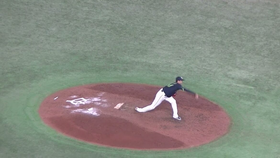 【野球選手フォーム集】石山泰稚の投球フォーム（2024年4月30日 読売ジャイアンツ対 ヤクルトスワローズ）