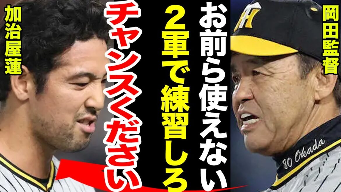 【激怒】岡田監督が大激怒で加治屋蓮・門別啓人の２選手をファーム送り…やらかした試合内容に驚愕…ファーム送りに対する阪神ファンの反応とは！！【プロ野球】