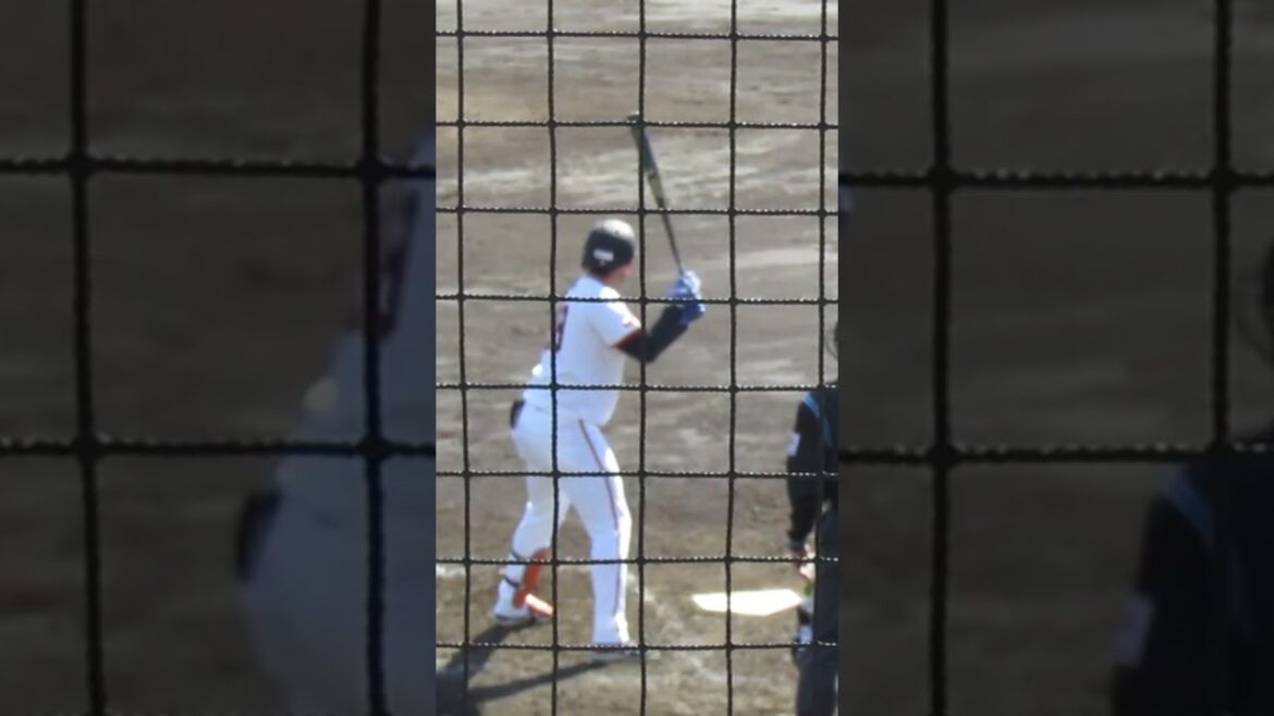 ウレーニャのバッティングフォーム（練習試合 読売ジャイアンツ対 尚武フェニックス2024年3月3日）