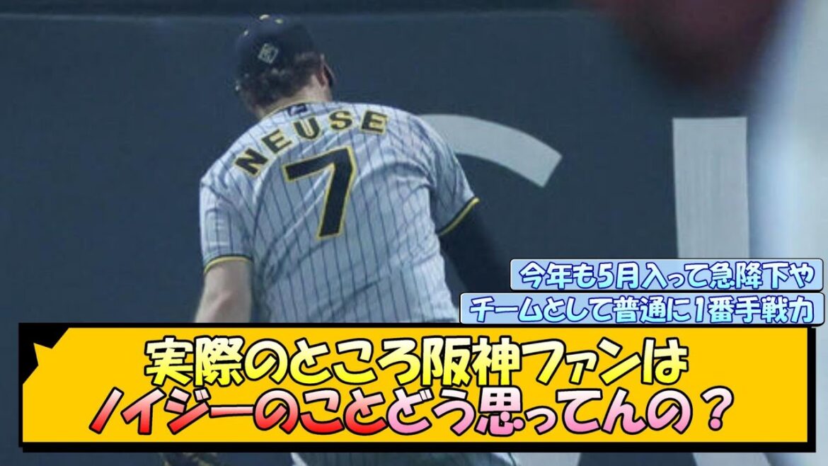 実際のところ阪神ファンはノイジーのことどう思ってんの？【なんJ/2ch/5ch/ネット 反応 まとめ/阪神タイガース/岡田監督】