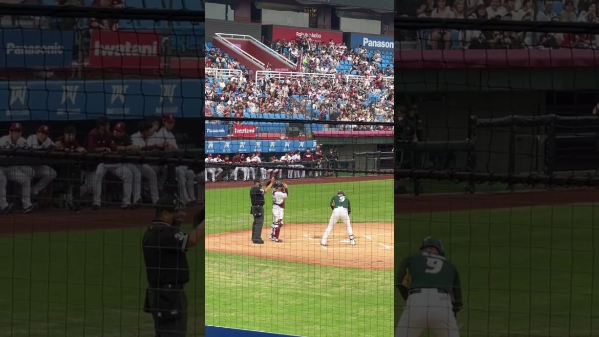 王柏融旅日後重返桃園球場，熟悉的大王應援聲再次響起🥹