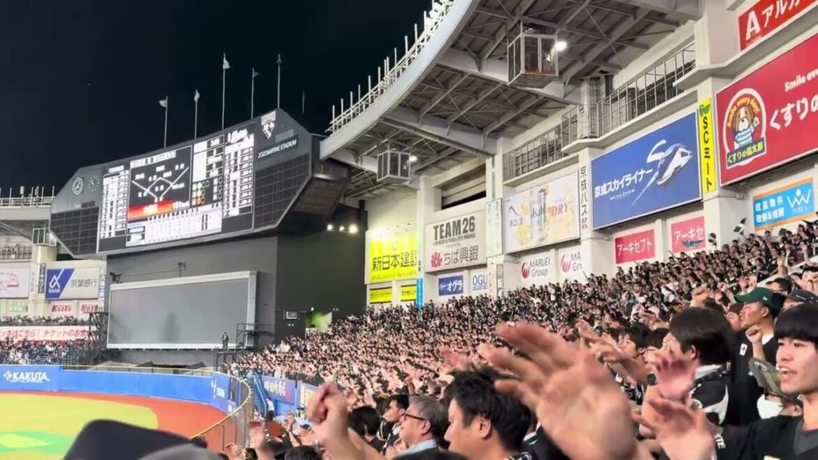 石川慎吾 応援歌 2024/5/17 ロッテvsファイターズ #chibalotte 石川慎吾 応援歌 2024/5/17 ロッテvsファイターズ #chibalotte