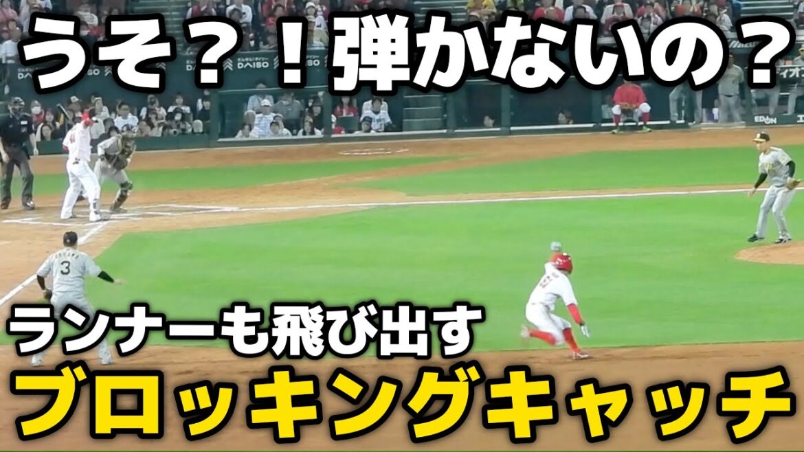 【え？！ワンバン弾かないの？！】梅野隆太郎、巧みなブロッキングキャッチで飛び出したランナーをアウトにするファインプレー！ 2024.5.23