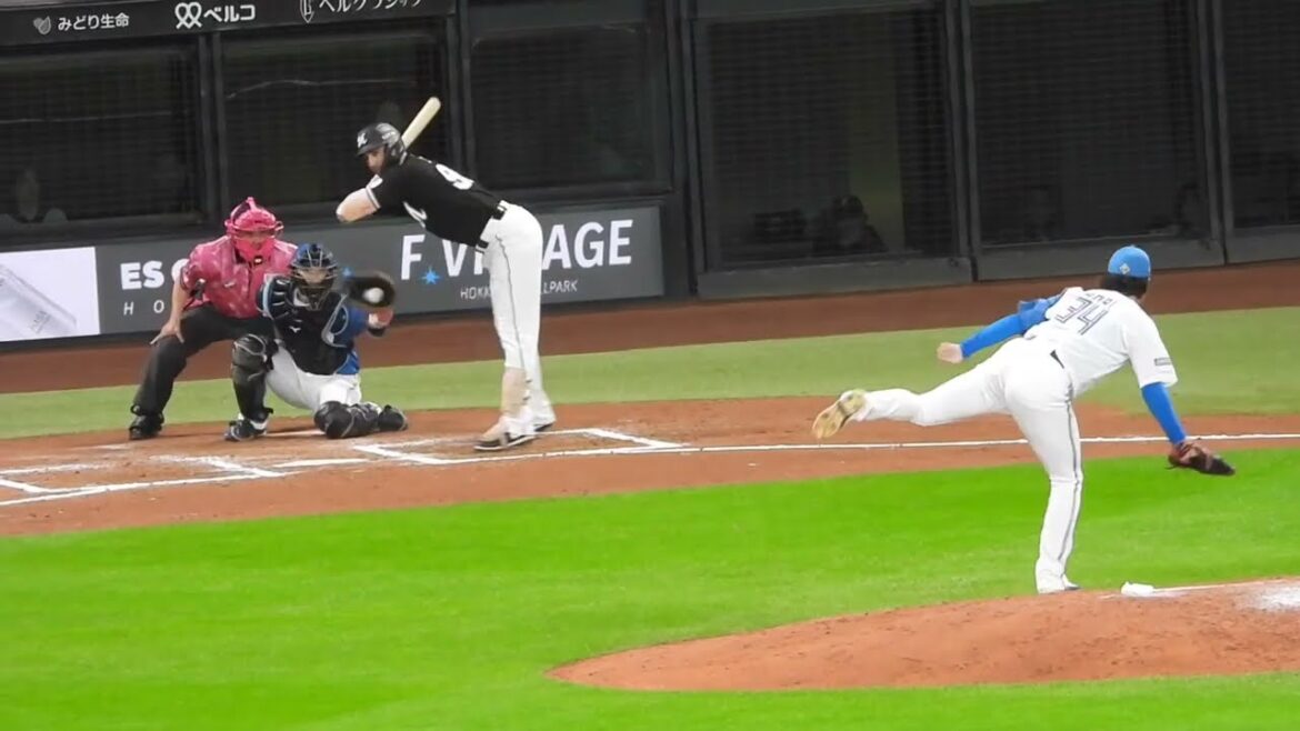 松本剛追いつけず‼︎ロッテ,ソトがセンターオーバーの快音ツーベースヒットを放つ瞬間‼︎ エスコンフィールド北海道日本ハム対ロッテ