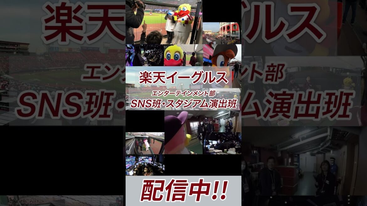 パ・リーグ裏側密着中！「パーソルカメラ」SNS班・スタジアム演出班に密着楽天イーグルス編 配信開始!! #shorts