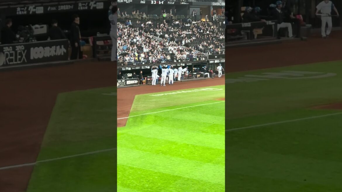 アリエルHＲ時のベンチ　#マルティネス　#北海道日本ハムファイターズ　2024.5.10