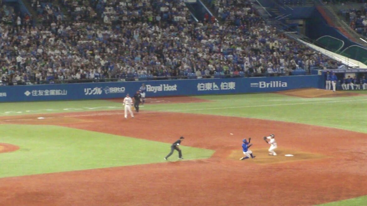 ヤクルト 中村悠平 盗塁阻止でナイスプレー　林琢真は盗塁失敗　ヤクルト vs DeNA　2024年5月22日(水)