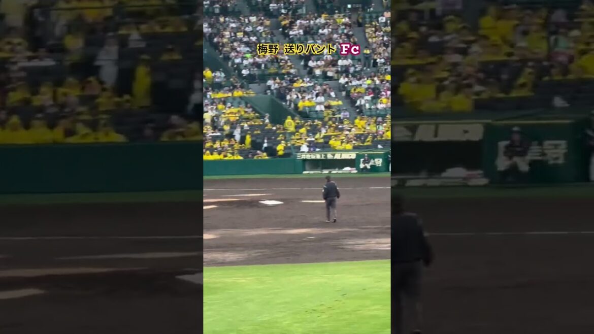 #梅野隆太郎 #熊谷敬宥 フィルダースチョイスで満塁男に満塁で回す