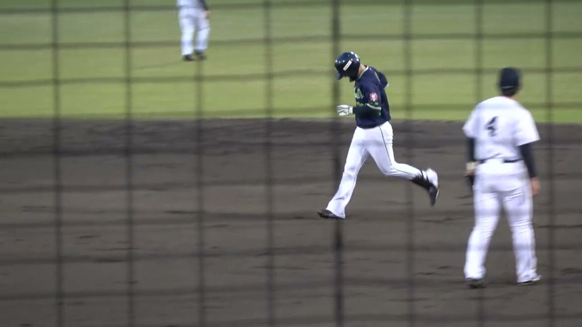 【富山太樹選手後ろ向きキャッチ】東京ヤクルトスワローズ フェリペ選手 第1打席 ライトフライ VS くふうハヤテベンチャーズ 早川太貴投手 2024/5/14 草薙球場