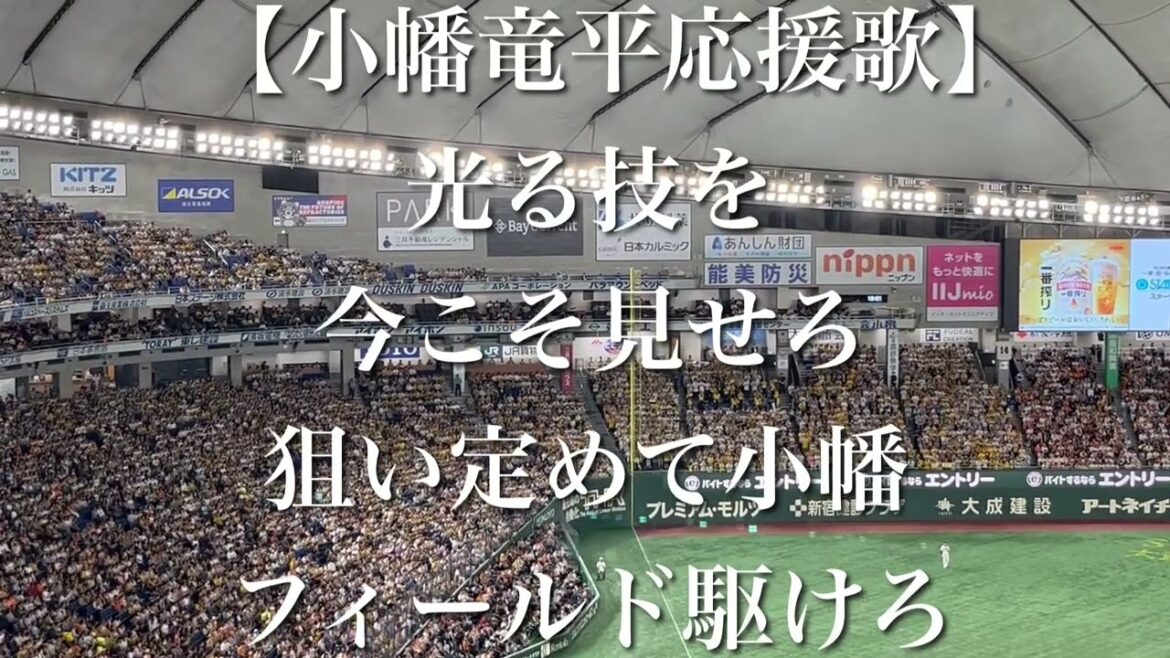 阪神タイガース 小幡竜平 応援歌【歌詞付き】