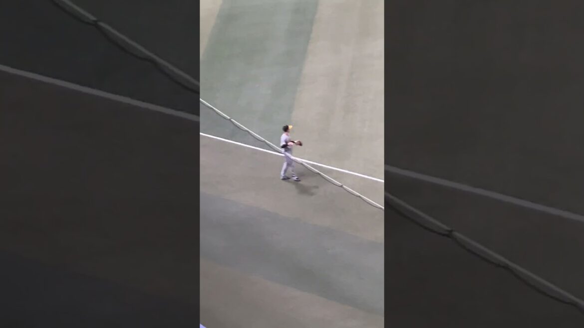 #阪神 #キャッチボール 開始