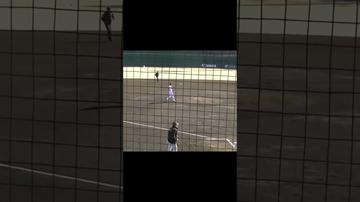 中山礼都の上手いショート守備 （2024年3月3日 練習試合 読売ジャイアンツ対 尚武フェニックス）