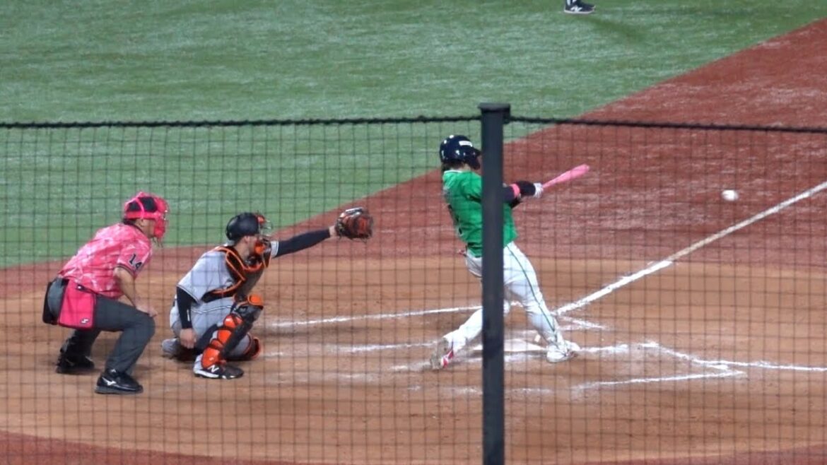 打撃絶好調！長岡秀樹のタイムリーヒット！4打数4安打で本日も猛打賞！東京ヤクルトスワローズ 2024/05/12