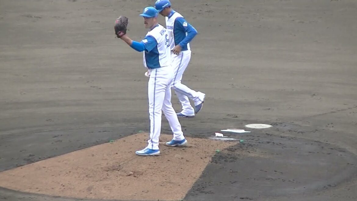 【日ハム】バーヘイゲンのピッチングフォーム2024年5月8日