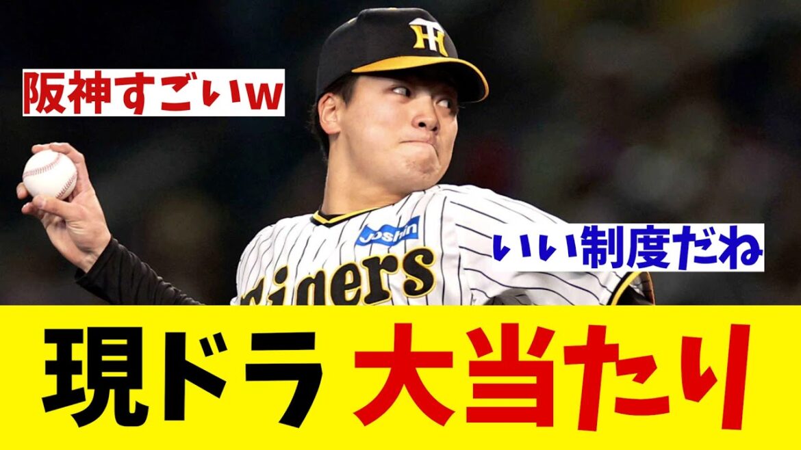 阪神・漆原大晟　なんで現ドラなん？と話題に！！！【野球情報】【2ch 5ch】【なんJ なんG反応】