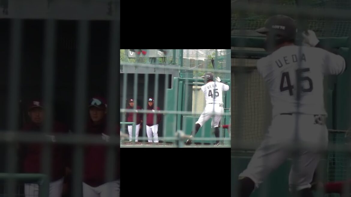 ロッテ 植田将太2024バッティングフォーム（春季教育リーグ 千葉ロッテマリーンズ対 楽天ゴールデンイーグルス） ＃2024年3月5日