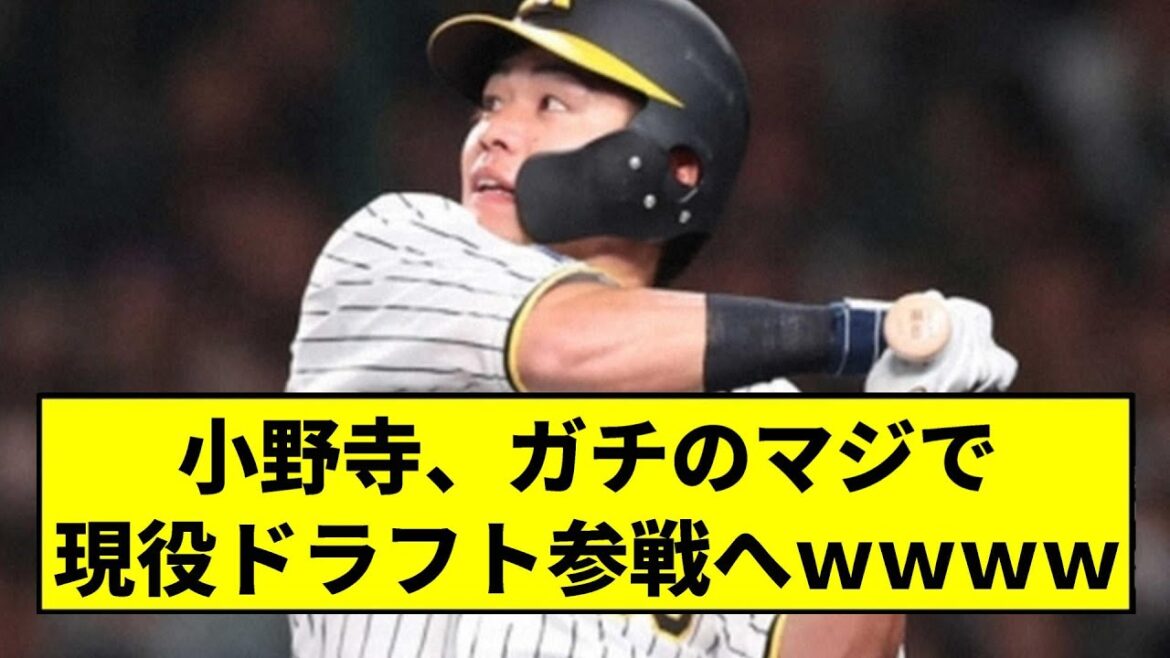 【阪神】小野寺、ガチのマジで現役ドラフト参戦へｗｗｗｗｗｗｗ【2chスレ】