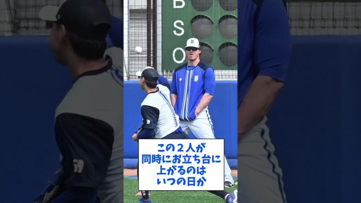 タイラを見るタイラー＆ソトとウチの対決　#shorts