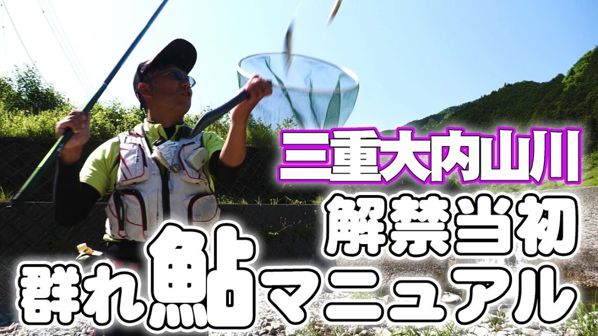 脱初心者 必見 解禁群れ鮎マニュアル 物価高に対応した節約マニュアル 背掛かりDNA鮎