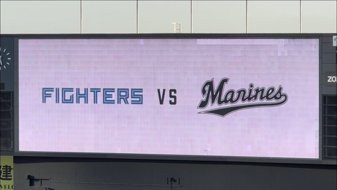 20240517　　Pacific League　CHIBA LOTTE MARINES - HOKKAIDO NIPPONHAM FIGHTERS　　パ・リーグ公式戦　ロッテ－日本ハム　ＺＯＺＯ
