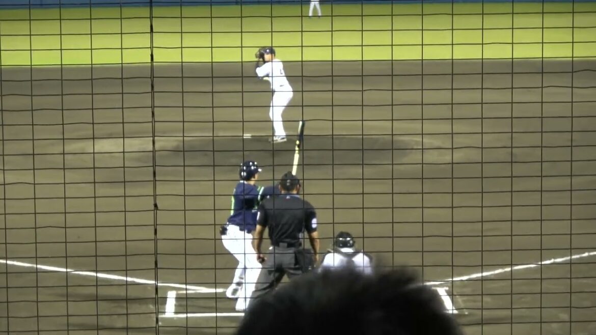 東京ヤクルトスワローズ 赤羽由紘選手 第3打席 ライトフライ VS くふうハヤテベンチャーズ 早川太貴投手 2024/5/14 草薙球場