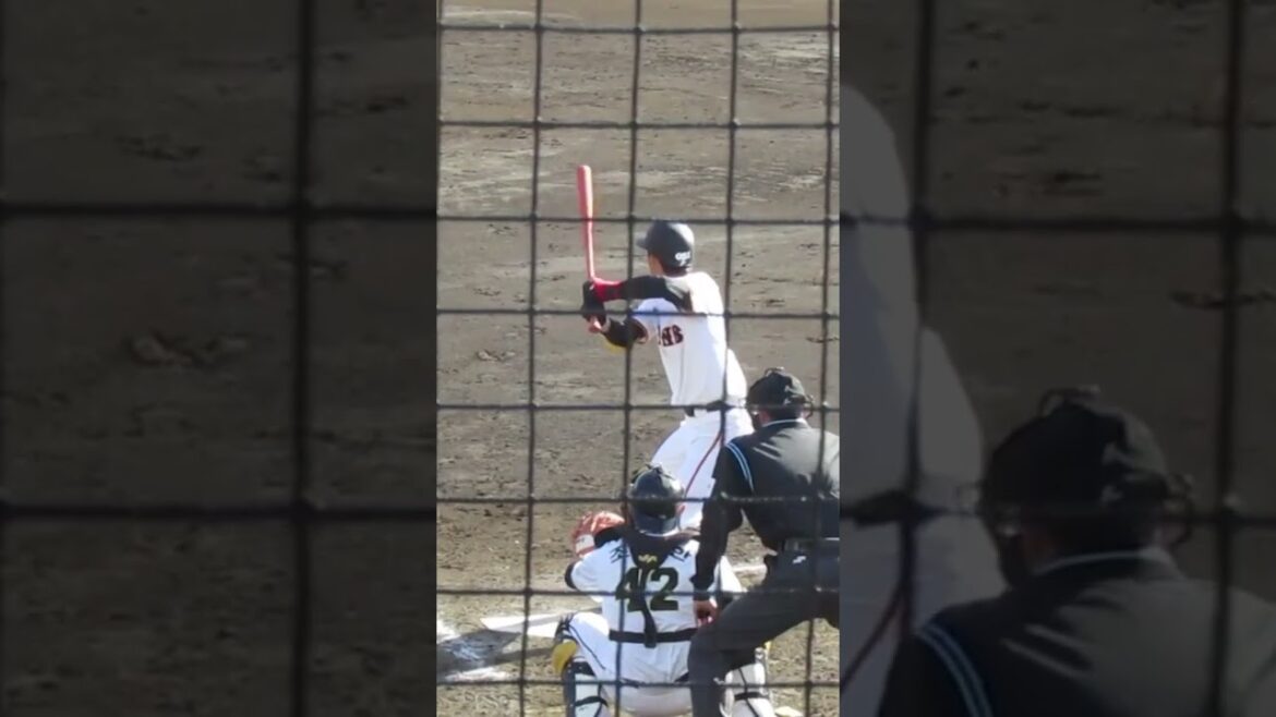 スピードスター舟越秀虎のバッティングフォーム（練習試合 読売ジャイアンツ対 尚武フェニックス2024年3月3日）