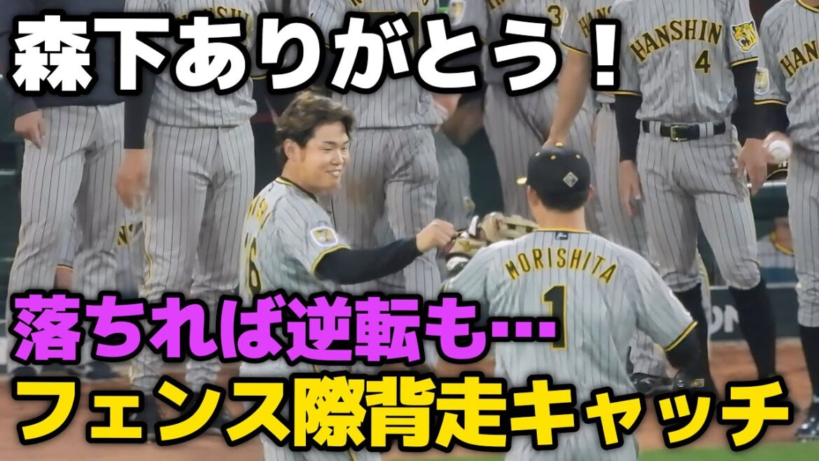 【超ファインプレー！】森下翔太、ライトフェンス手前で背走しながらジャンピングキャッチ！西勇輝を帽子をとって森下とグラブタッチ 2024.5.23