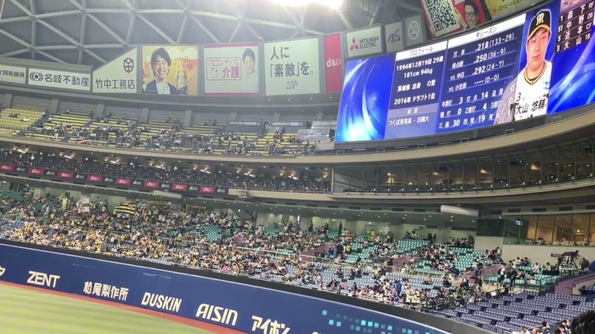 阪神タイガーススタメン発表(2024/5/15) 阪神タイガーススタメン発表(2024/5/15)