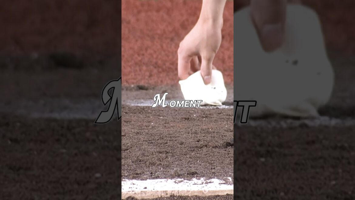 SWEEP｜5.24-5.26 Marines Moment #chibalotte