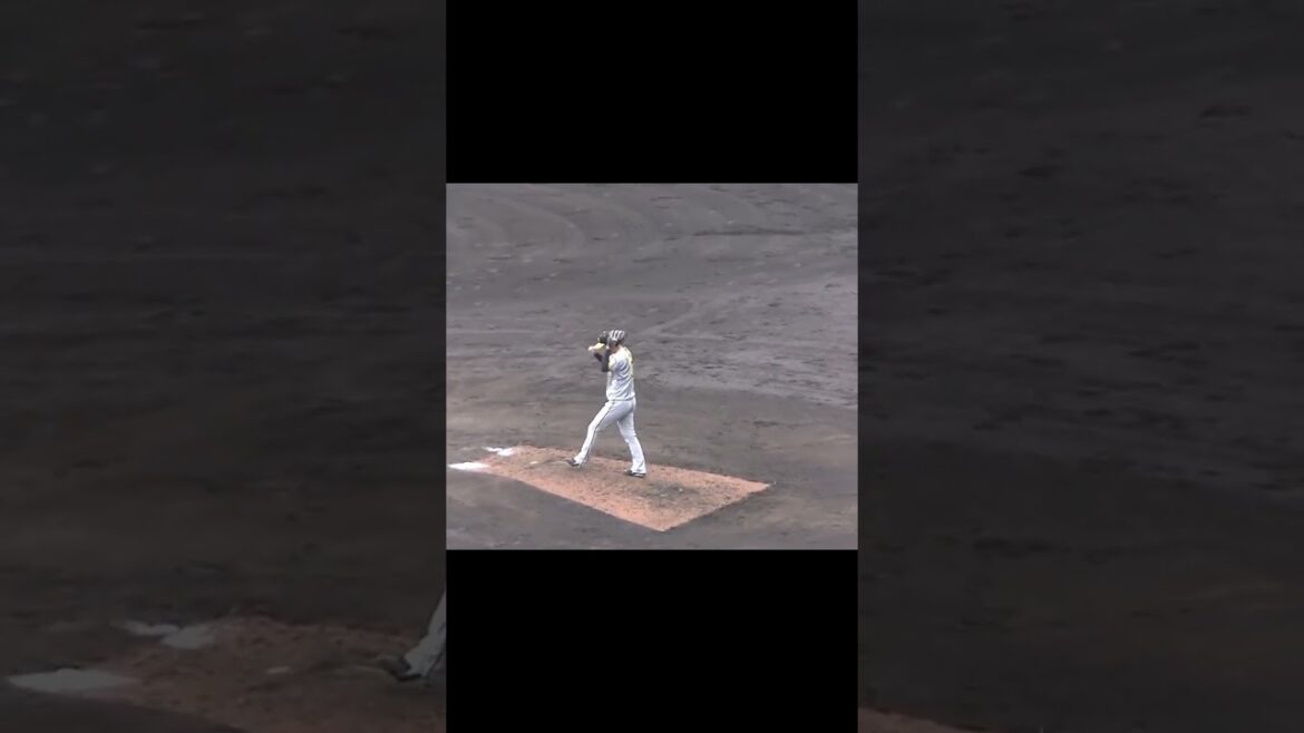 阪神 浜地真澄 2024年の投球フォーム【オープン戦 読売ジャイアンツ対 阪神タイガース2024年2月23日】